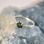 OCULAR, silver ring with Czech Moldavite