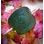 WOLF, leather Hair Clip, green