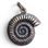 Pendentif en forme d'ammonite, en bronze