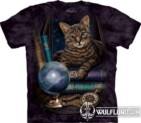 THE FORTUNE TELLER, T-SHIRT, THE MOUNTAIN
