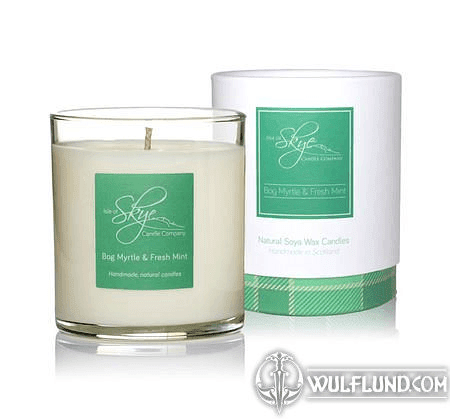 BOG MYRTLE AND FRESH MINT VOTIVE CANDLE TUMBLER