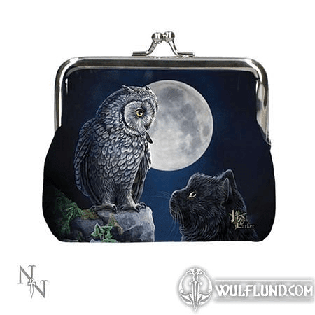 OWL PURRFECT WISDOM COIN PURSE