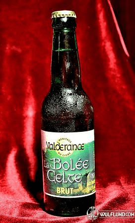 CIDRE LA BOLÉE CELTE, BRUT, BRETAGNE - 0,33 L