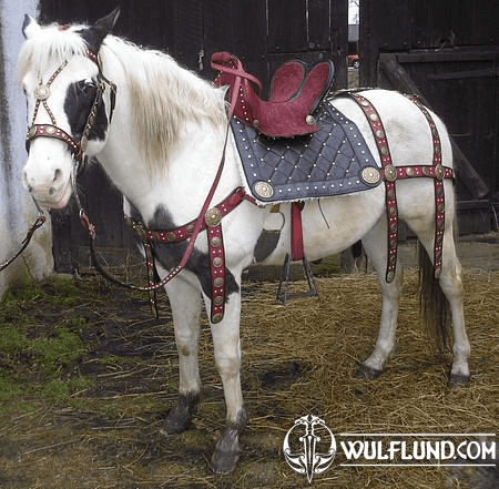 HORSE SADDLE AND COSTUME