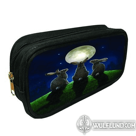 3D PENCIL CASE MOON SHADOWS