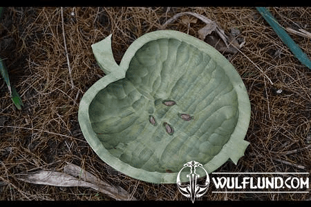 THE APPLE, HAND CARVED DISH