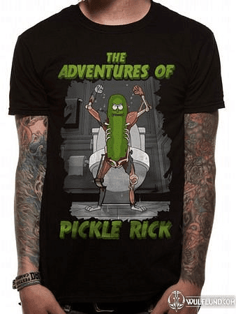 RICK AND MORTY - ADVENTURES OF PICKLE RICK, UNISEX T-SHIRT - BLACK