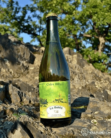 CIDRE LA BOLÉE BRUT, BRETAGNE - 0,75 L