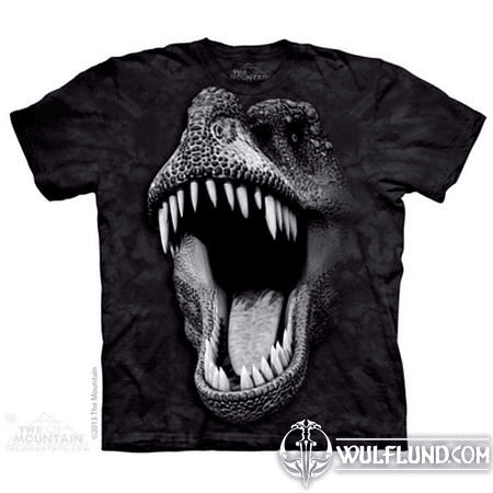 BIG FACE GLOW REX - DINOSAUR T-SHIRT THE MOUNTAIN