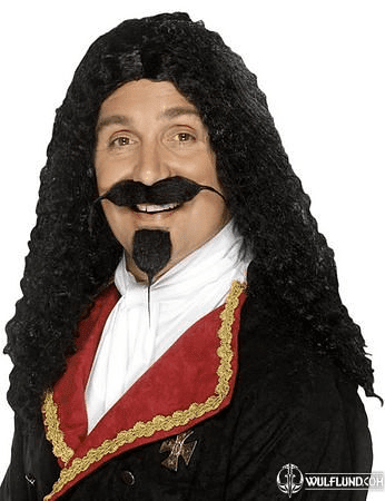 MUSKETEER WIG - COSTUME RENTAL