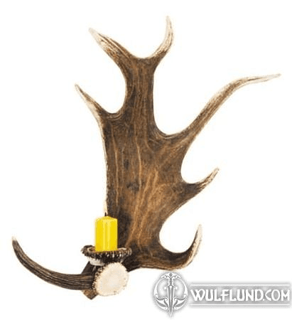 WALL ANTLER CANDLEHOLDER, FALLOW DEER