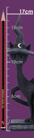 ENCHANT SPELL CATS - FIGURINE 17 CM