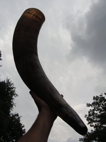 SIGNAL HORN 60 - 70 CM LONG