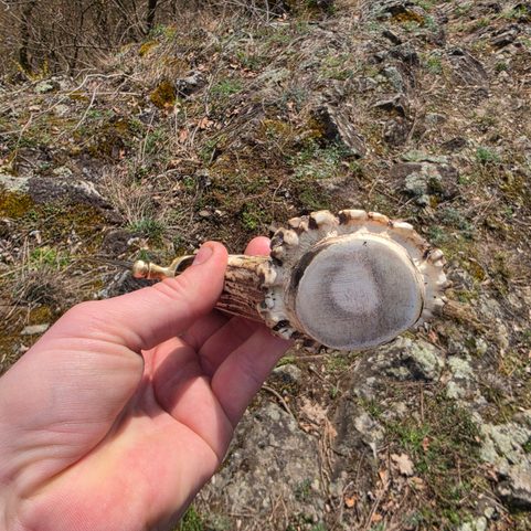 COUTEAU FORGÉ BOWIE FORBES AVEC FOURREAU