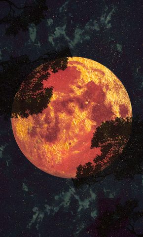 AMBER MOON TAROT, TAROT CARDS