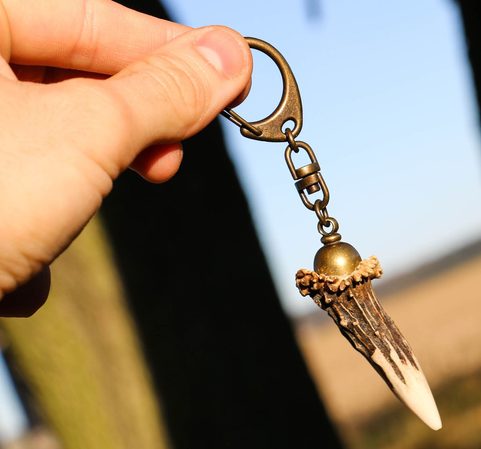 DEER ANTLER, KEYCHAIN