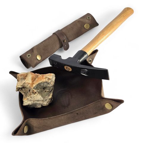 PLATEAU EN CUIR FOSSILE, TRILOBITE