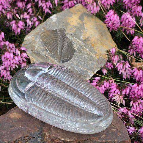 GLAS-BRIEFBESCHWERER TRILOBIT, TSCHECHISCHES GLAS