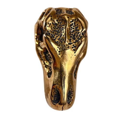 TYRANNOSAURUS REX, T-REX, SKULL PENDANT, BRONZE