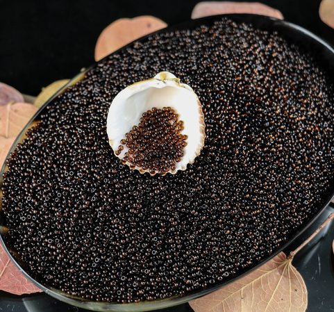 ROCAILLE TCHÈQUE PRECIOSA, TRANSPARENT BRUN 10/0