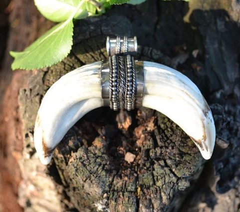 BOAR TUSK NECKLACE, ORIGINAL GRANULATION, AG 925
