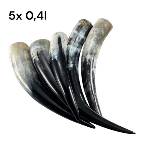 SET OF 5 HORNS CCA 0,4 L