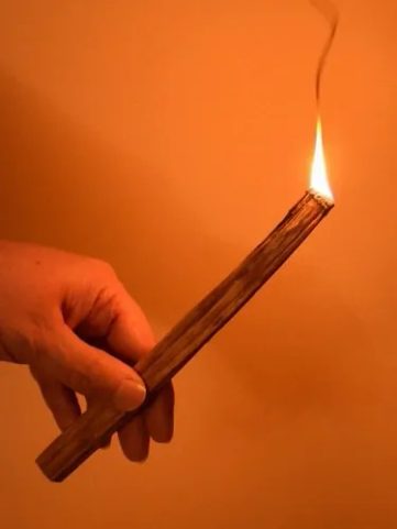 PORTE-ÉCLATS MÉDIÉVAL