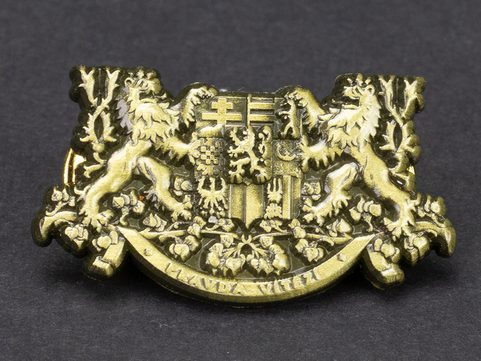 BADGE TRUTH WINS