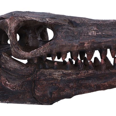 ARCHAEOPTERYX, SKULL, IMITATION, 18CM