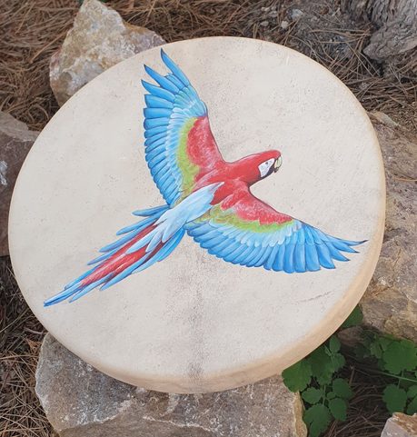SHAMAN DRUM - MACAW PARROT 40 CM
