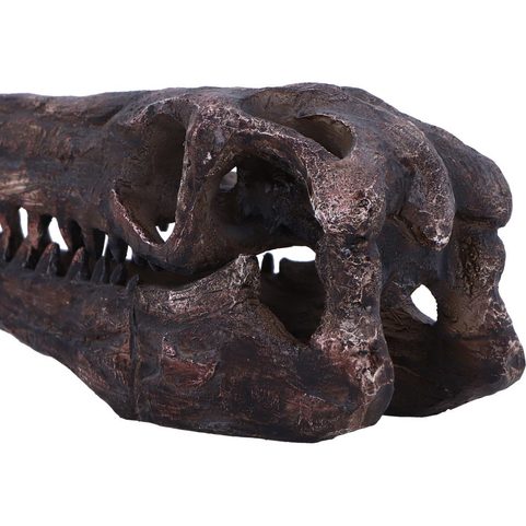 ARCHAEOPTERYX, SKULL, IMITATION, 18CM