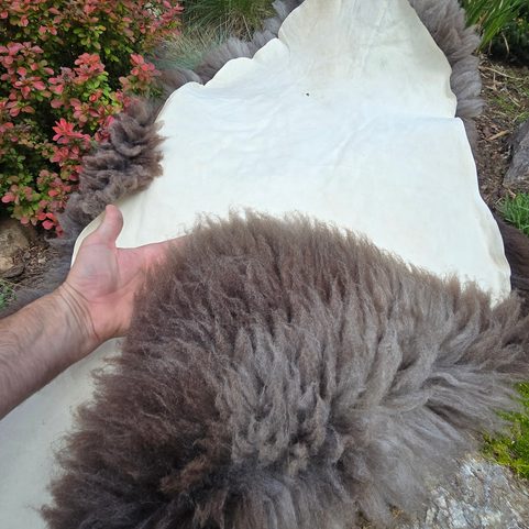 SHEEPSKIN, SWEDISH MELERADE SHEEP
