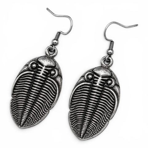 ODONTOCHILE TRILOBITE EARRINGS, ZINC