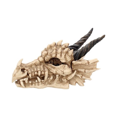 SKULL OF THE DRAGON, OPENABLE BOX