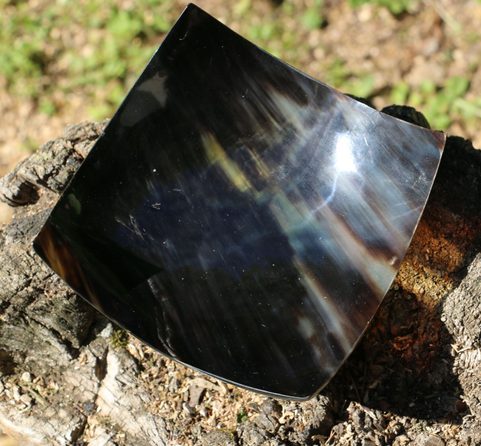 HORN PLATE