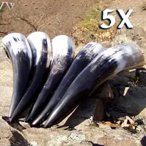 SET OF 5 HORNS - 0,3 L