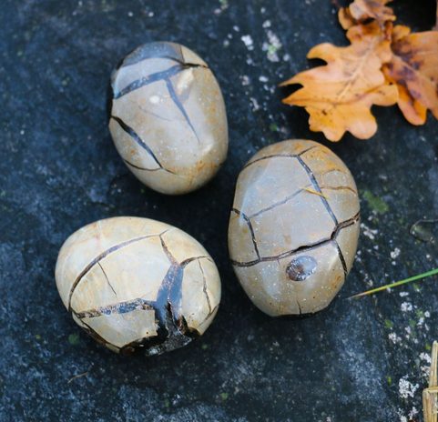 DRAGON EGG, SEPTARIA - CONCRETION