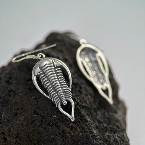 BOUCLES D'OREILLES TRILOBITES, ARGENT 925/1000