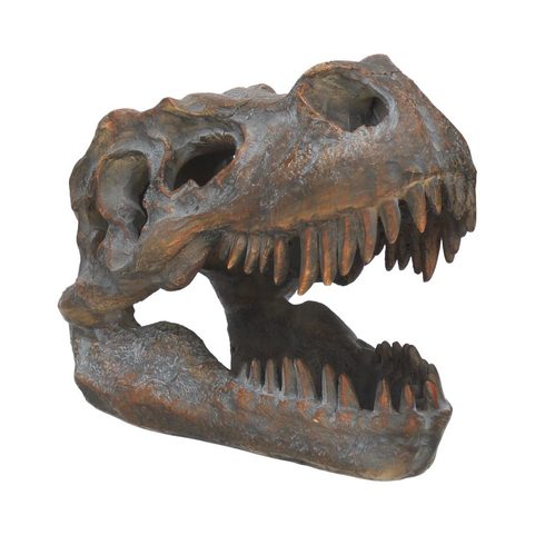 T-REX, TYRANNOSAURUS REX, SKULL