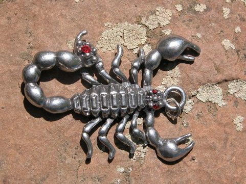EUSCORPIUS CARPATHICUS