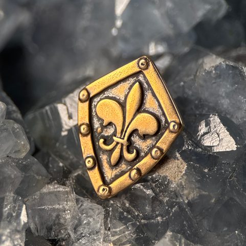 FLEUR DE LIS DANS LE BOUCLIER, PENDENTIF EN BRONZE