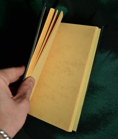 SERPENTIN, LUXURY HAND MADE BOOK IN LEATHER CASE