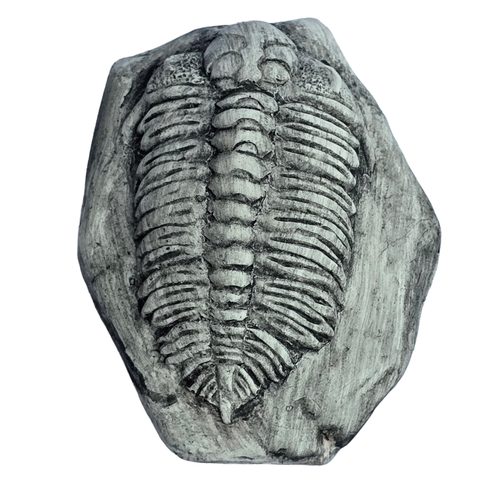 TRILOBIT, REPLICA OF A FOSSIL