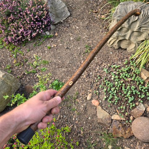 SHILLELAGH, IRISH STICK, HAZEL