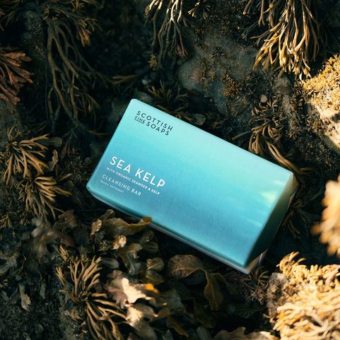 SEA KELP, SOLID SOAP, 220 G