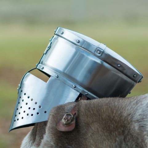 TEMPLERHELM - KREUZRITTER