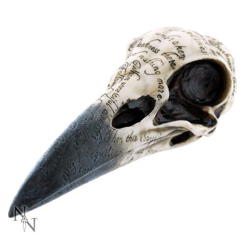 EDGAR'S RAVEN SKULL
