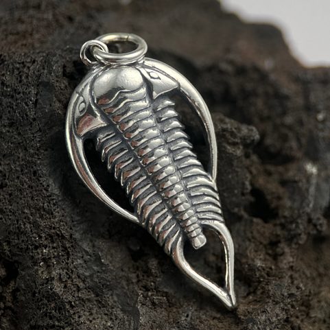 TRILOBITE, SILVER PENDANT, AG 925