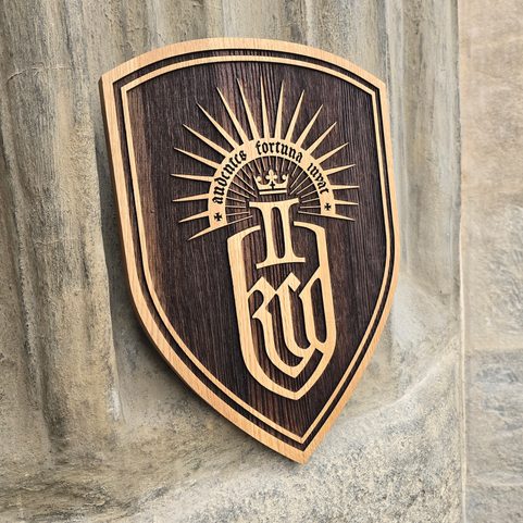 WOODEN WALL SHIELD XL, KINGDOM COME: DELIVERANCE 2