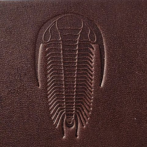 LEDERARMBAND MIT TRILOBIT